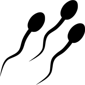 Low Sperm Count Treatment