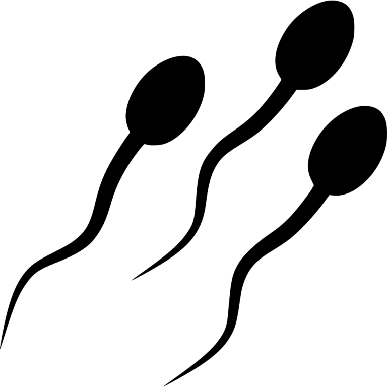 Best Unani Treatment for Spermatorrhoea