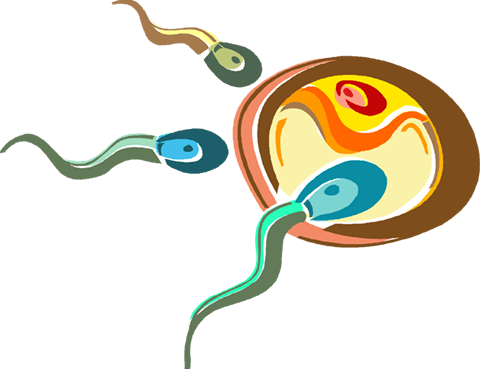 Low Sperm Count Treatment